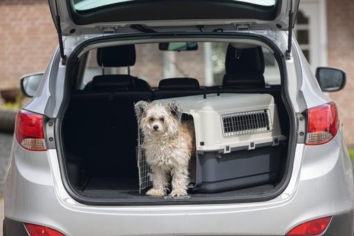 Produktbild Karlie Nomad (Hund, Katze, Abschliessbar)