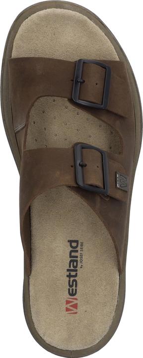 Actual product image Westland 45804-348 (43)