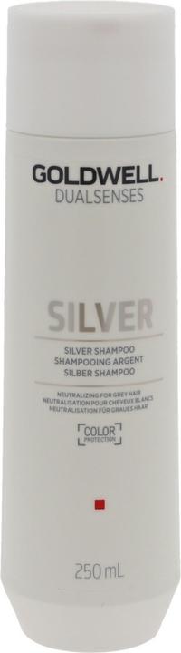 Goldwell Dualsenses Silver (250 ml, Flüssiges Shampoo)