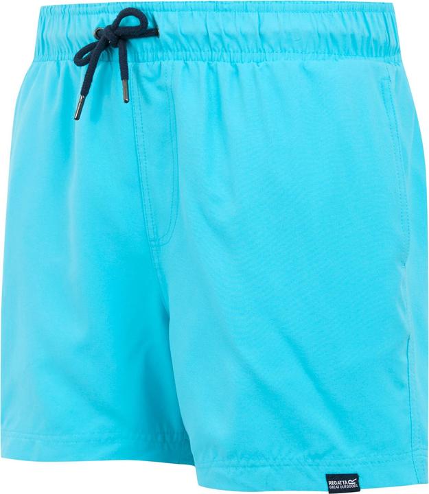 Actual product image Regatta Mens Mawson II Swim Shorts (L)