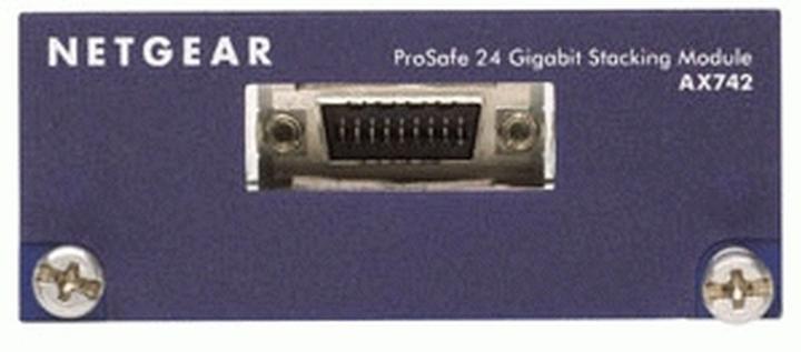 Actual product image Netgear AX742, two 24 Gigabit Ethernet XFP adapter modules (Switch module)