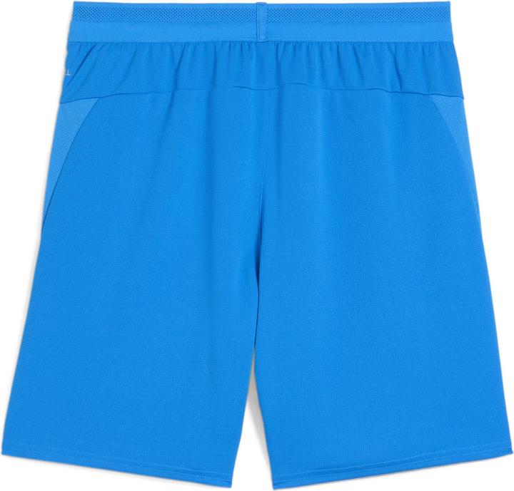 Produktbild Puma teamCUP Shorts (L)