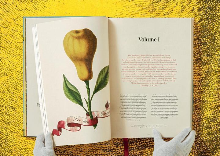 Actual product image J. C. Volkamer. The Book of Citrus Fruits (German, French, English, Iris Lauterbach, 2020)