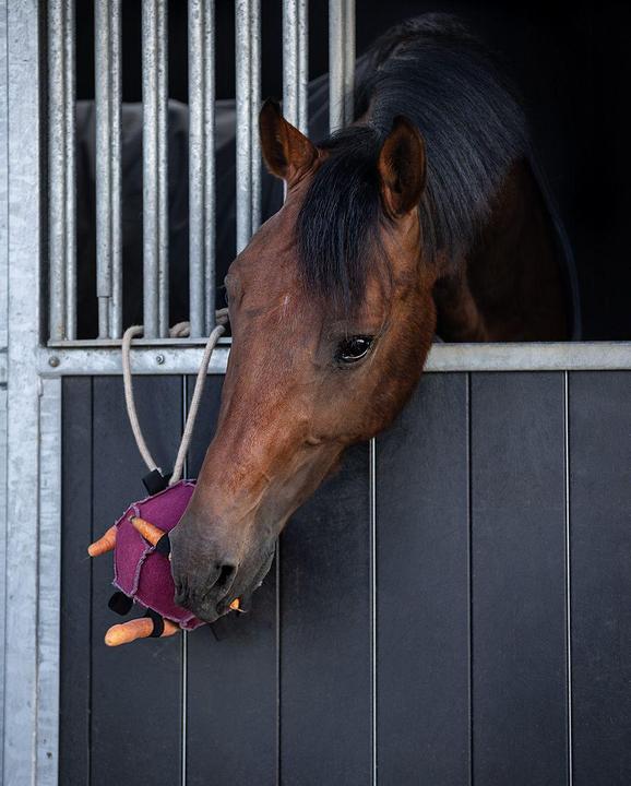 Image du produit Qhp Jouet pour chevaux Balle