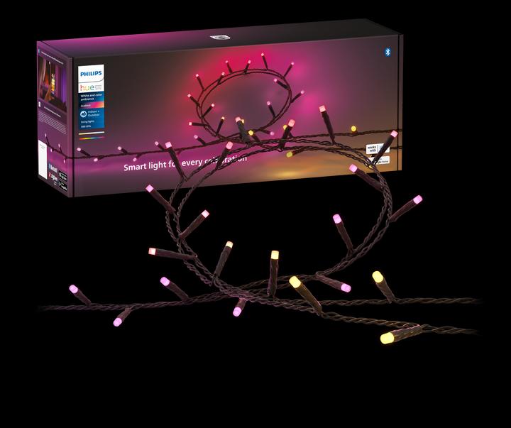 Productafbeelding Philips Hue Festavia (EU-stekker) (40 m)