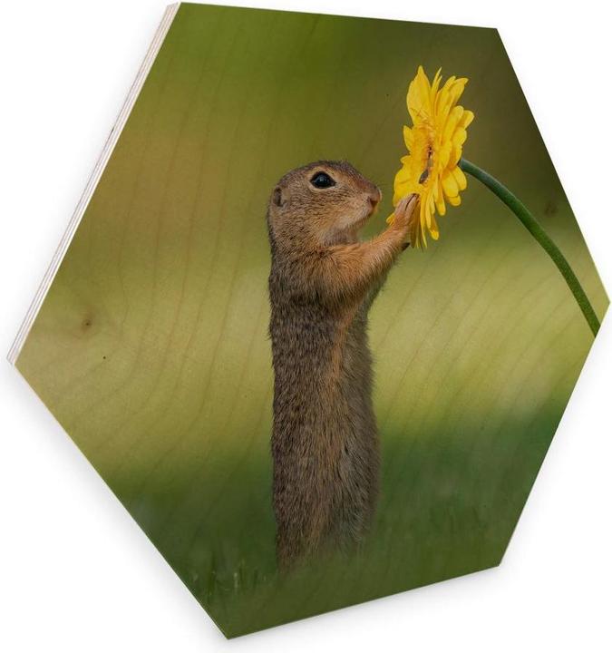 Immagine prodotto Trenddeko van Duijn - Gopher con fiore in mano (35 x 30 cm)