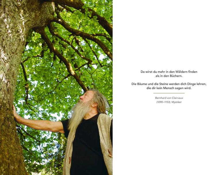 Produktbild Wir sind Geschöpfe des Waldes (Deutsch, Wolf-Dieter Storl, 2019)