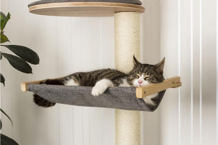 Image du produit Kerbl Arbre à chat mural Dolomit XL Tofana (185 cm, Gris)