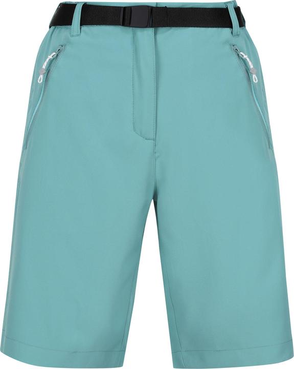 Produktbild Regatta Xert Shorts (36)