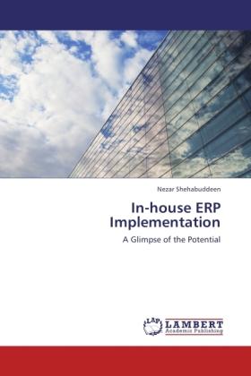 Actual product image In-house ERP Implementation (German, Nezar Shehabuddeen, 2011)