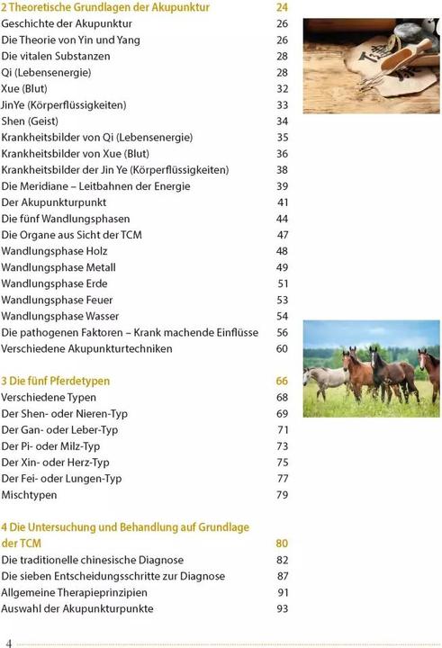 Actual product image Akupunktur beim Pferd (German, Ina Gösmeier, 2022)