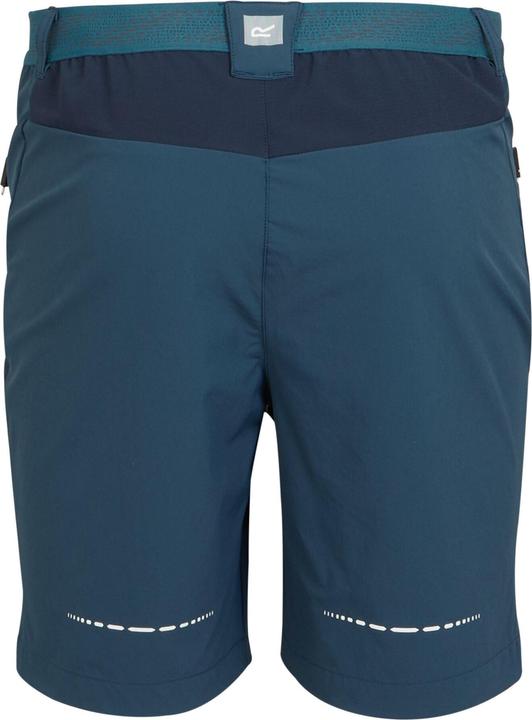 Actual product image Regatta Mens Mountain II Shorts (44 D)
