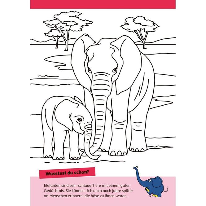 Image du produit Die Maus - Malblock mit Sachwissen Natur und Tiere (Allemand, pen2nature, 2024)