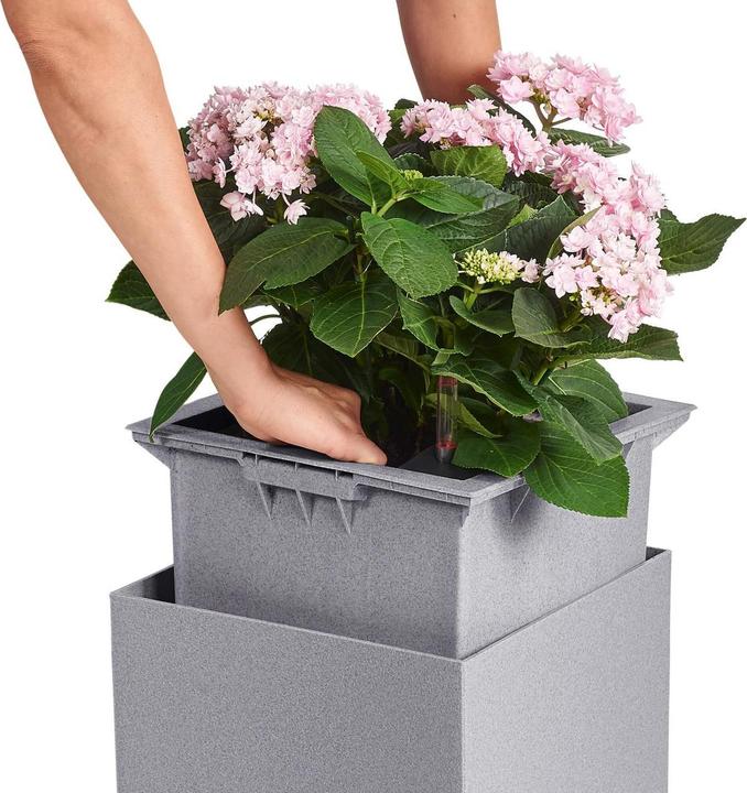 Actual product image Lechuza Canto Stone (40 cm)