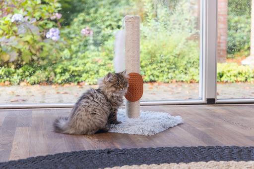 Immagine prodotto Beeztees Pflegehandschuh (Gatto)