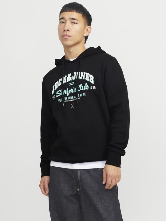Actual product image Jack & Jones JJELOGO SWEAT HOOD 2 COL 24/25 NOOS (M)