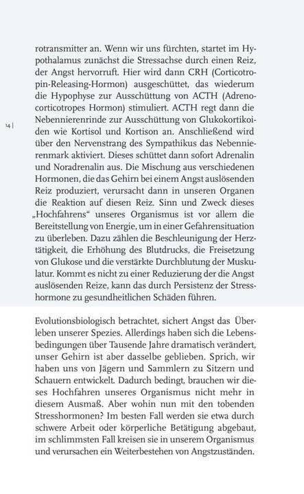 Image du produit Willkommen Angst (Allemand, Constance Dennig, 2023)