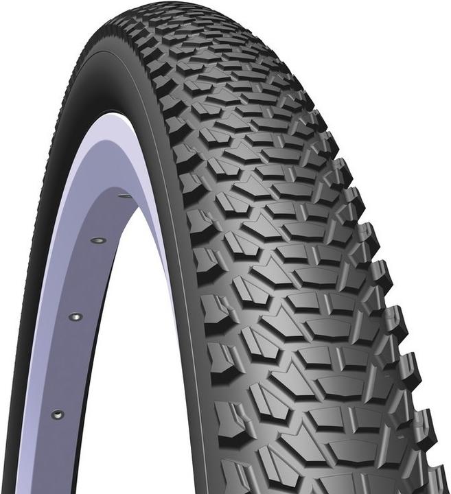 Actual product image Rubena Cheetah R15 Classic 22 (29 x 2.10, 54-622)