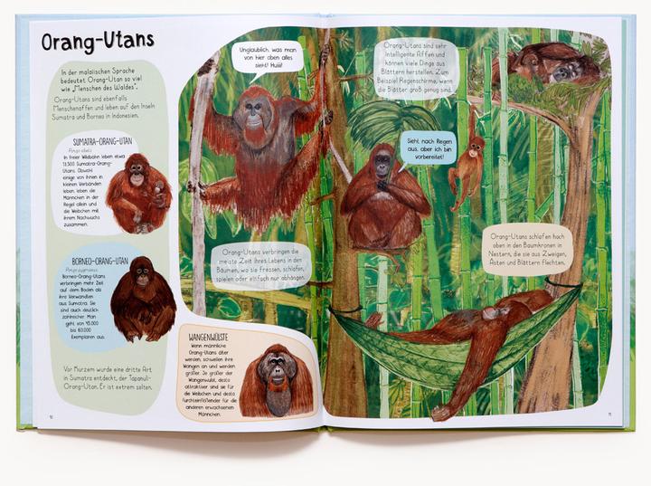 Produktbild Das Affen-Buch (Deutsch, Katie Viggers, Frederik Kugler, 2022)