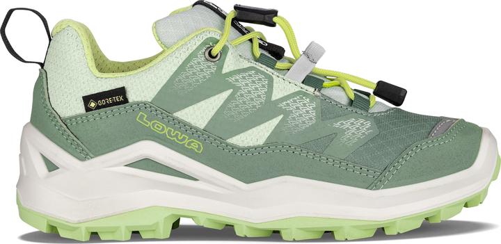 Produktbild Lowa Maddox Pro GTX LO (40)