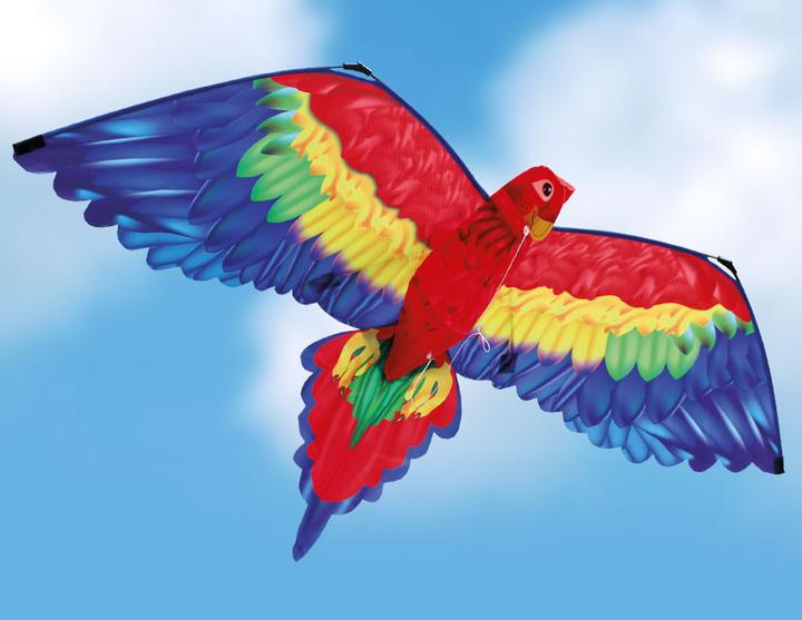 Actual product image Günther Flugspiele Cora
