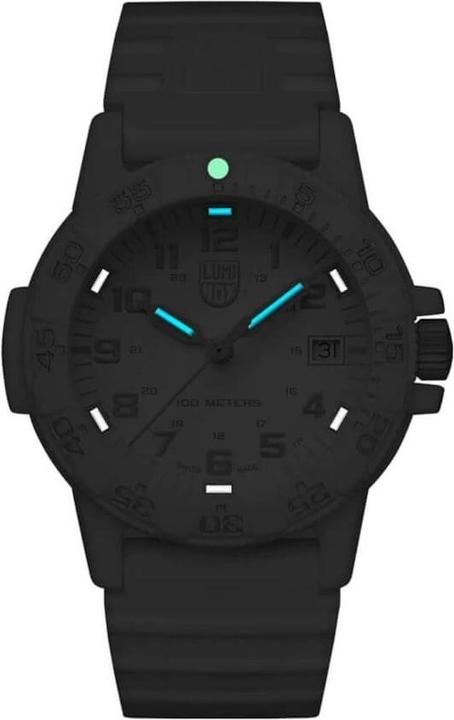 Actual product image Luminox Leatherback Sea Turtle 0300 Series (Swiss made, Analogue wristwatch, 39 mm)