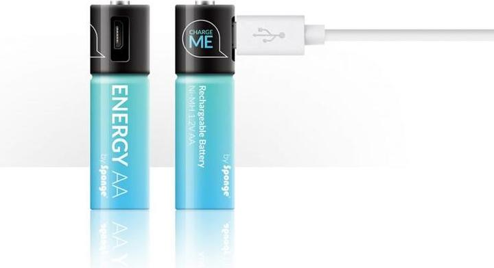 Actual product image Sponge Batteries Energy AAA 450mAh (1 pcs., AAA, 450 mAh)