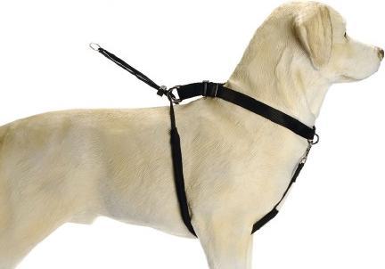 Actual product image Beeztees Bz Gentle Walker Black X-La (XL, Dog, General)