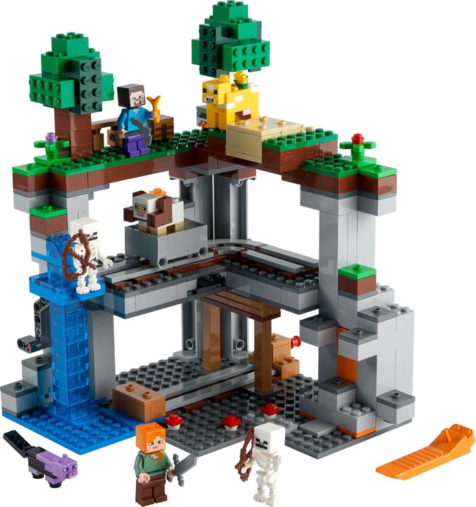 Actual product image LEGO The first adventure (21169, LEGO Minecraft)