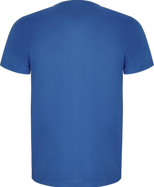 Actual product image Alpinia Mens Imola Short-Sleeved Sports T-Shirt (S)