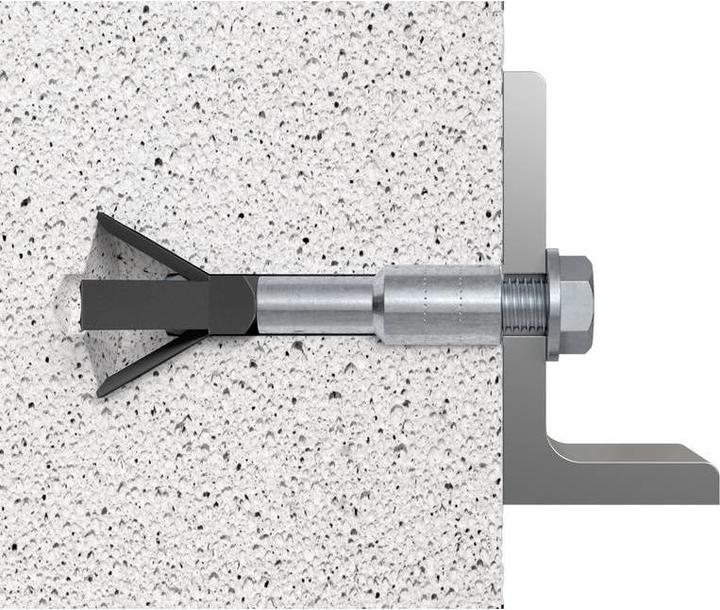 Actual product image Fischer Aerated concrete anchor FPX M6 (2 pcs.)