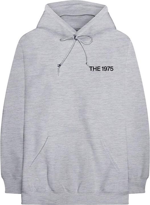Actual product image Universal Textiles Unisex Adult ABIIOR MFC Hoodie (L)