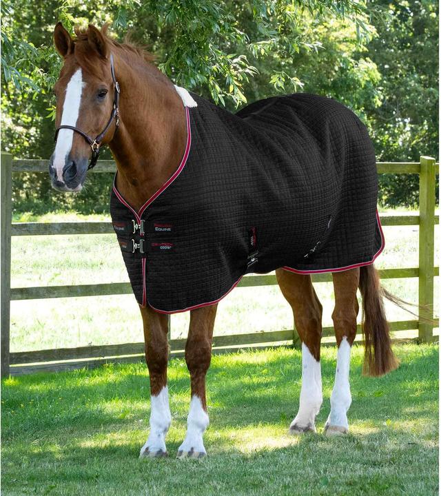 Produktbild Premier Equine Dry-Tech (213 cm)