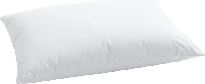 Produktbild Billerbeck Climacontrol (50 x 70 cm)