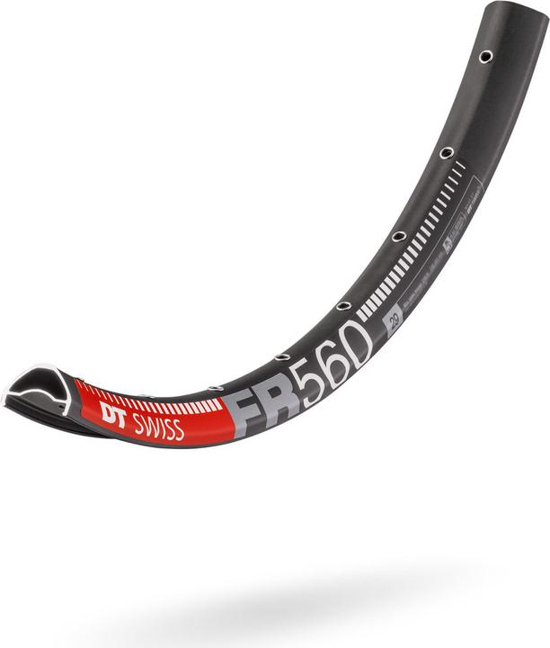 DT Swiss FR 560 (21.18")
