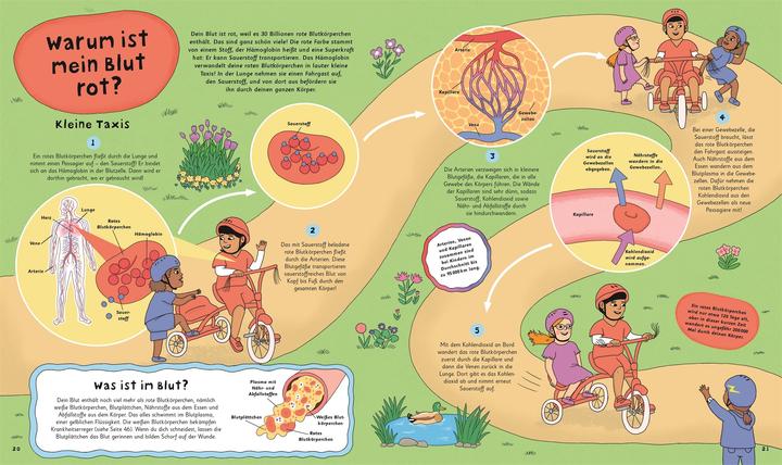 Actual product image Wie kommt der Popel in die Nase? (German, Claudia Martin, Birgit Reit, DK Verlag - Kids, 2025)