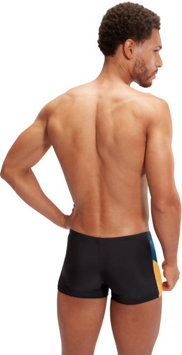 Image du produit Speedo Dive Aquashort (30)