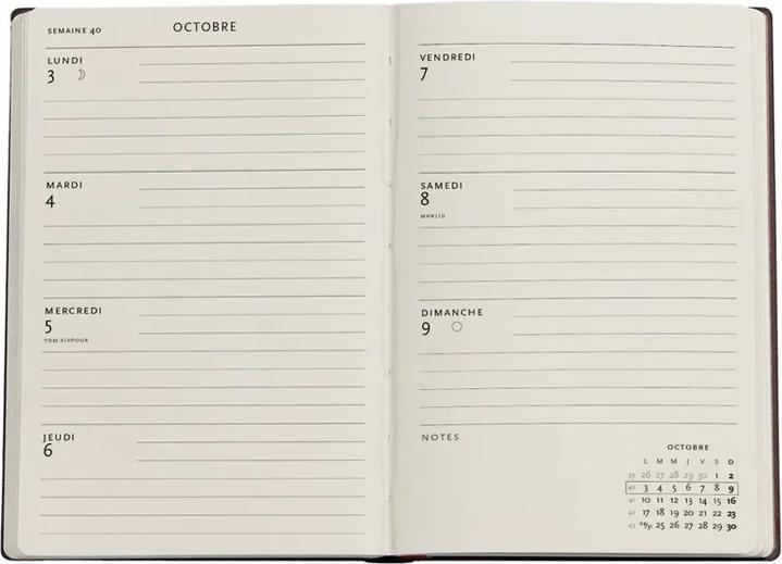 Immagine prodotto Paperblanks PAPERBLAN Agenda Firebird Midi 24/25 FHD5453 1W/2S 18M DE HOR SC 13x18cm (13 x 18 cm, Tedesco)