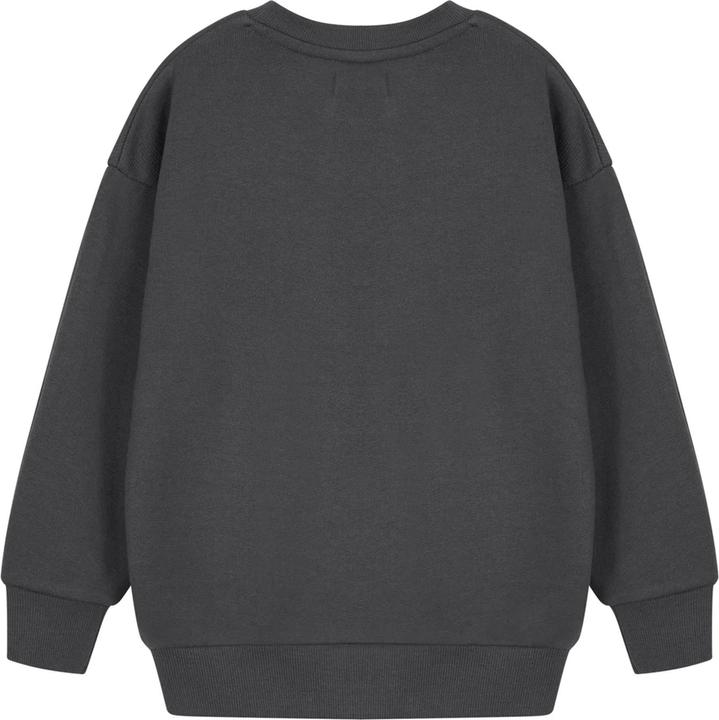 Actual product image Teenage Mutant NT Boys Have A Slice Day Sweatshirt (146, 152)