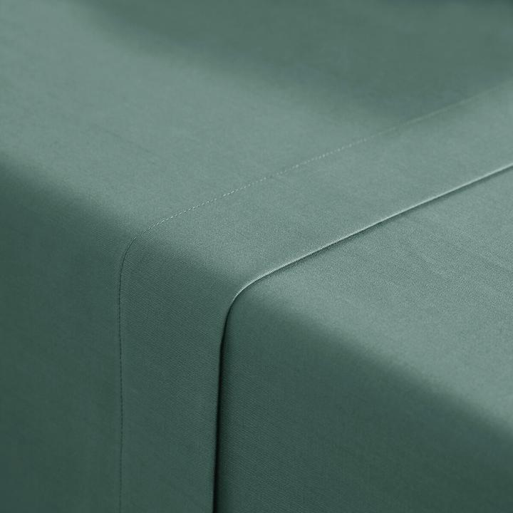 Image du produit La Redoute Interieurs Scenario Coton (270 x 290 cm)