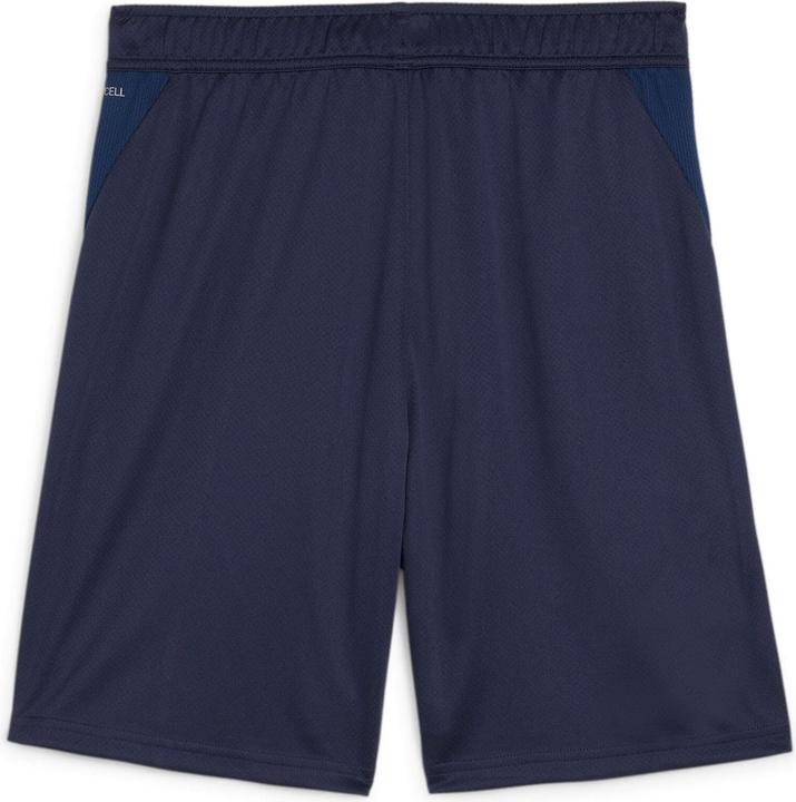 Actual product image Puma TeamGOAL (XS)