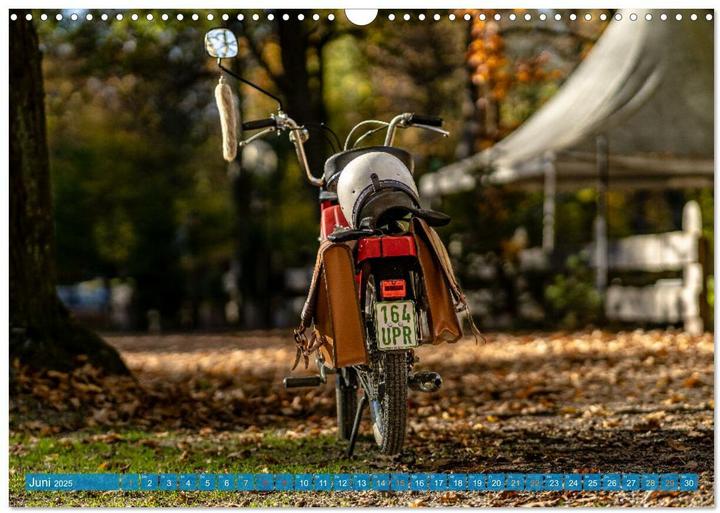 Immagine prodotto Das Mofa meiner Jugend (Wandkalender 2025 DIN A3 quer), Monatskalender (A3, Tedesco)