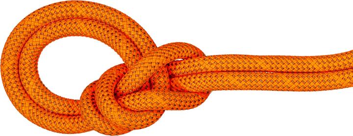 Image du produit Mammut 9.8 Crag Dry Rope 70m (70 m)