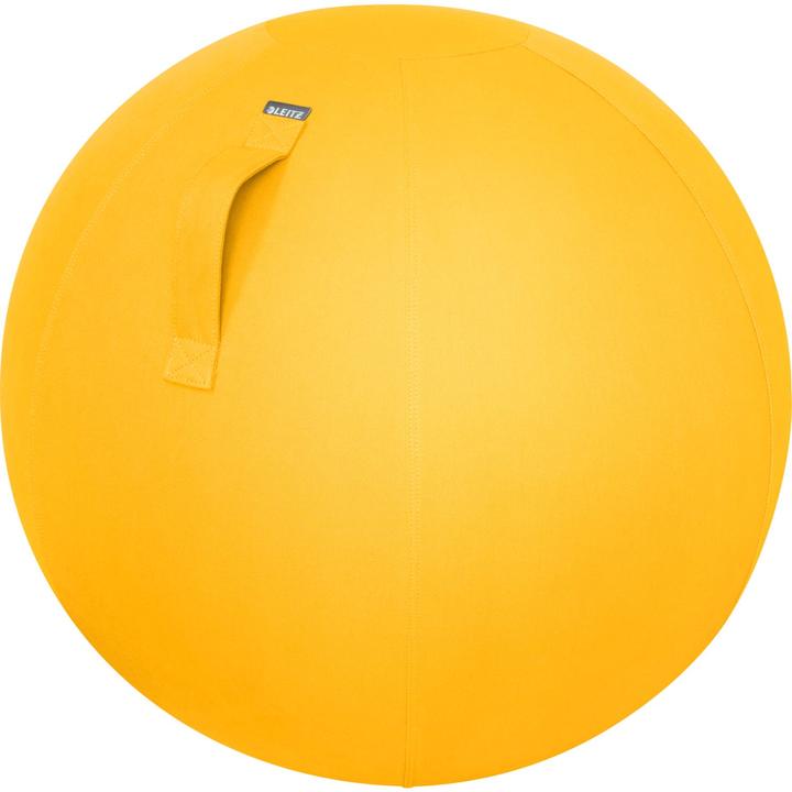 Leitz Ergo Cosy Active Sitzball (65 cm)