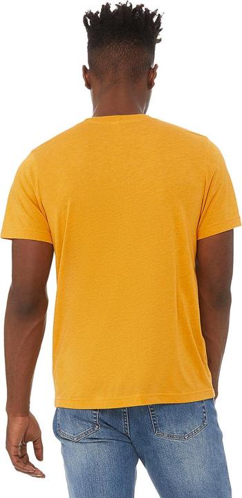 Image du produit Bella Canvas T-shirt Canvas Triblend à col rond (L)