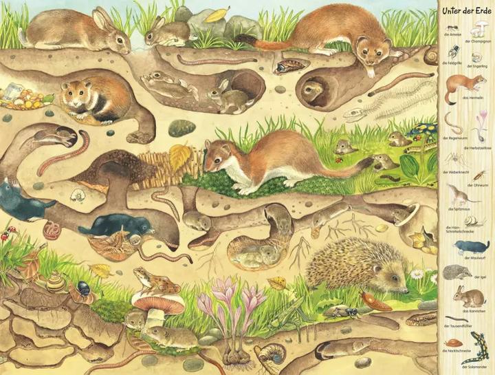 Image du produit Das Riesen-Natur-Wimmelbuch (Allemand, Christine Henkel, 2018)