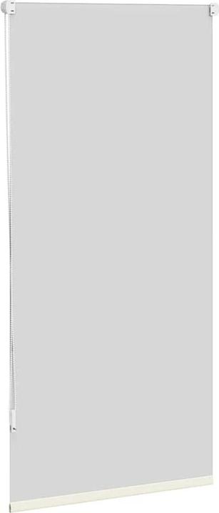 Immagine prodotto VidaXL Rollo (60 x 120 cm)