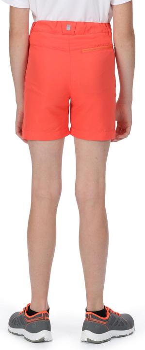 Actual product image Regatta Sorcer II Shorts (128)