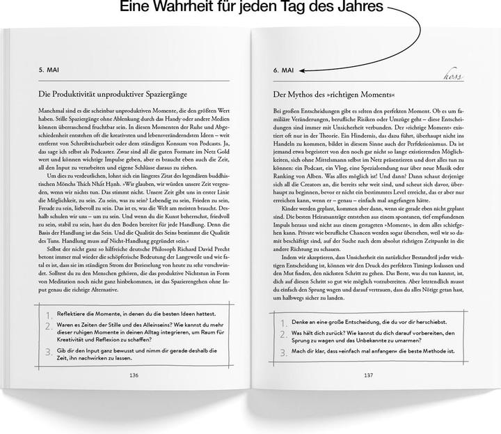 Actual product image Next Level Jeden Tag einen Schritt (German, Kiarash Hossainpour, Philip Hopf, 2024)
