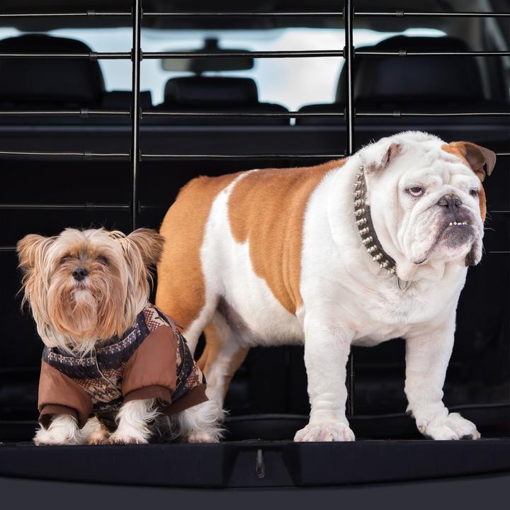Image du produit Relaxdays Grillage pour chiens en voiture, protection (Chien, Ouverture complète)
